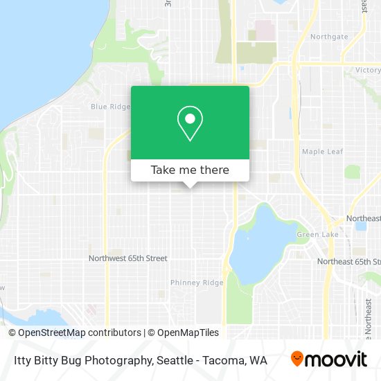 Itty Bitty Bug Photography map