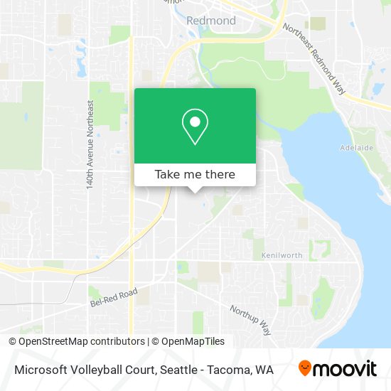 Microsoft Volleyball Court map
