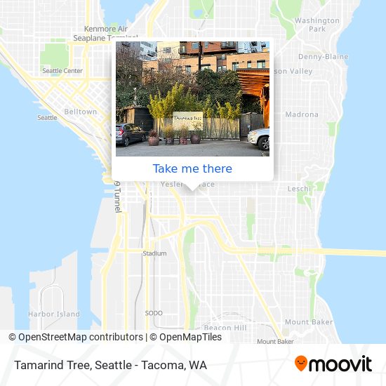 Tamarind Tree map