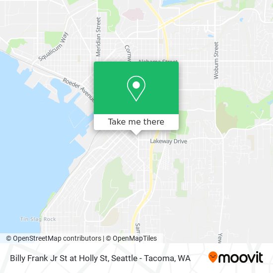 Billy Frank Jr St at Holly St map