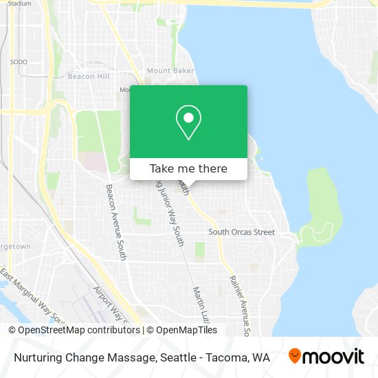 Mapa de Nurturing Change Massage