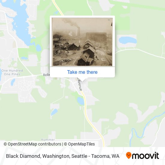 Black Diamond, Washington map