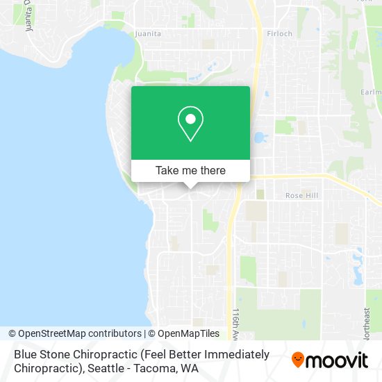 Blue Stone Chiropractic (Feel Better Immediately Chiropractic) map