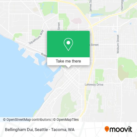 Bellingham Dui map