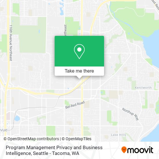 Program Management Privacy and Business Intelligence map