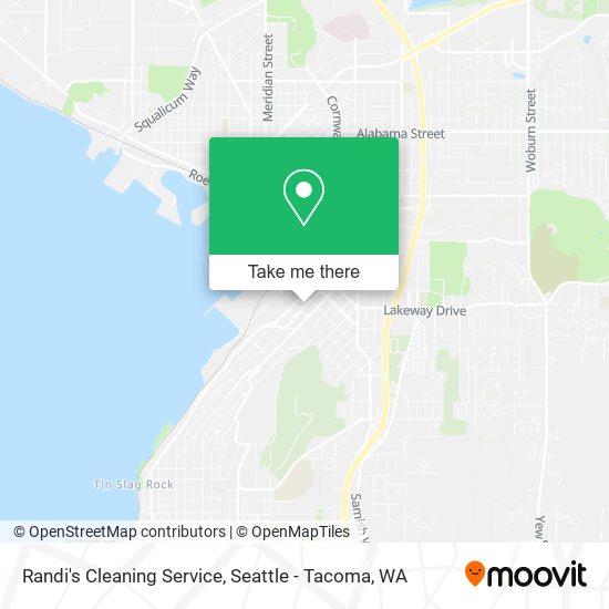 Mapa de Randi's Cleaning Service