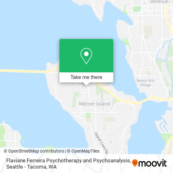 Mapa de Flaviane Ferreira Psychotherapy and Psychoanalysis