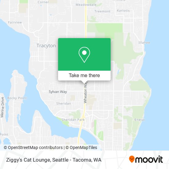 Ziggy's Cat Lounge map