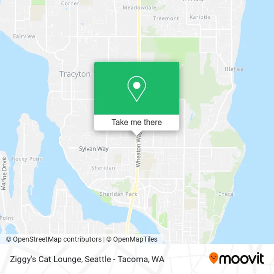Ziggy's Cat Lounge map