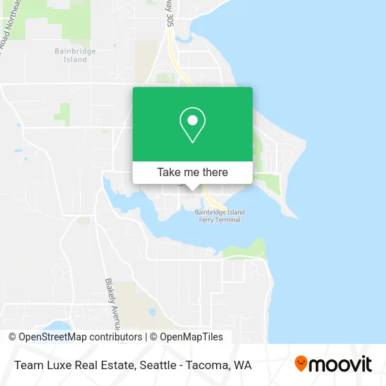 Team Luxe Real Estate map