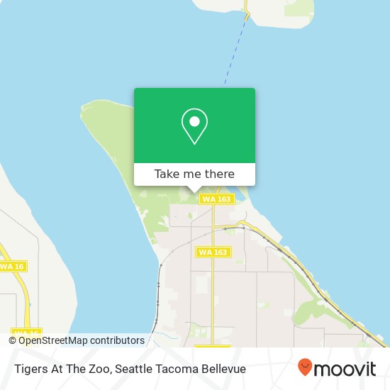 Tigers At The Zoo map