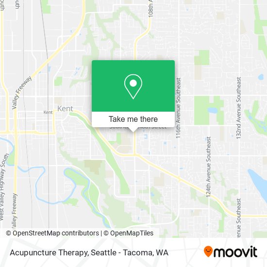 Acupuncture Therapy map