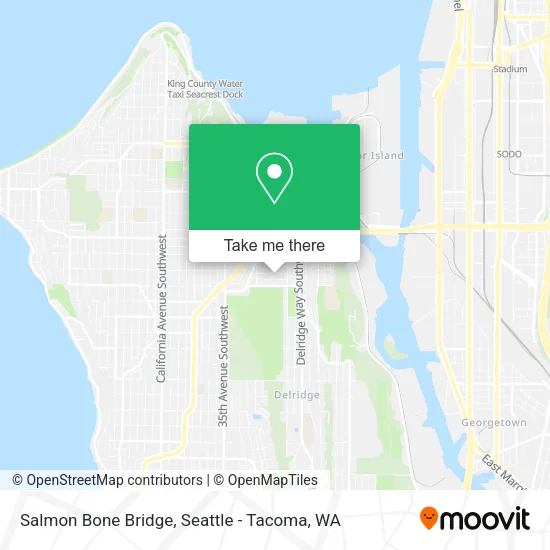 Salmon Bone Bridge map