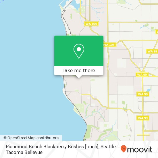 Mapa de Richmond Beach Blackberry Bushes [ouch]