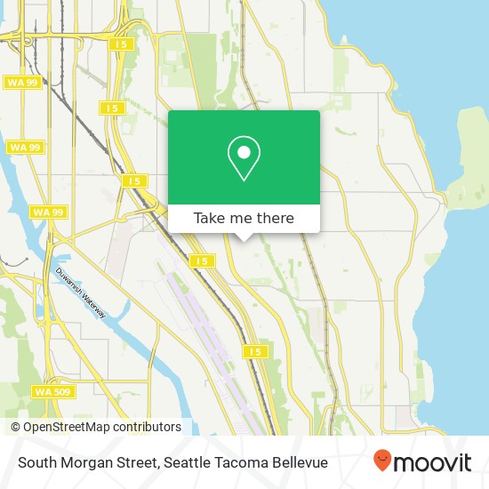 South Morgan Street map