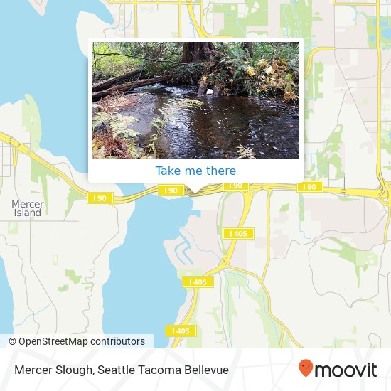 Mercer Slough map