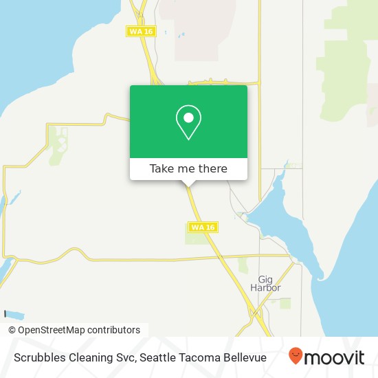 Scrubbles Cleaning Svc map