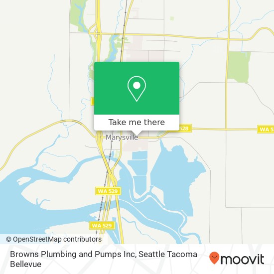 Browns Plumbing and Pumps Inc map