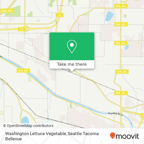 Mapa de Washington Lettuce Vegetable