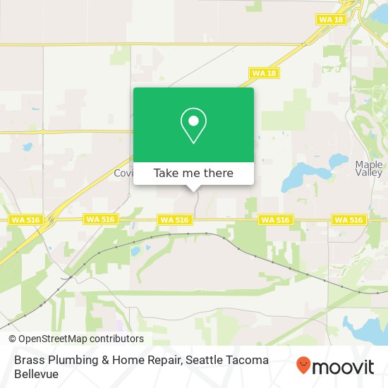 Brass Plumbing & Home Repair map