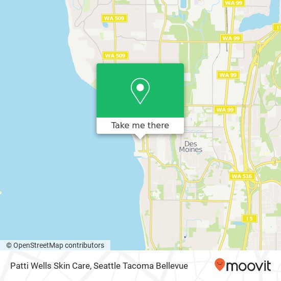 Patti Wells Skin Care map