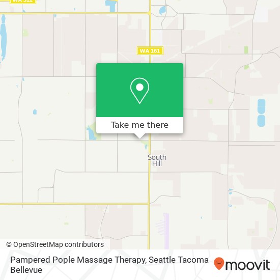 Pampered Pople Massage Therapy map