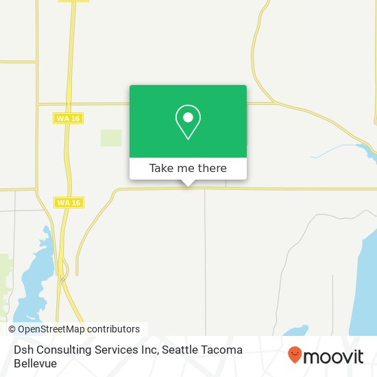 Dsh Consulting Services Inc map