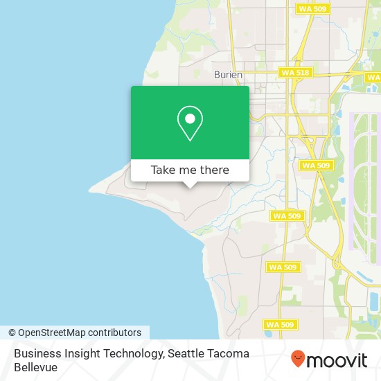 Business Insight Technology map