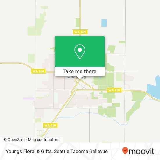 Youngs Floral & Gifts map