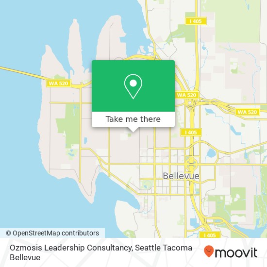 Mapa de Ozmosis Leadership Consultancy
