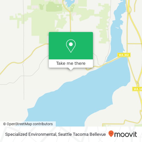 Specialized Environmental map