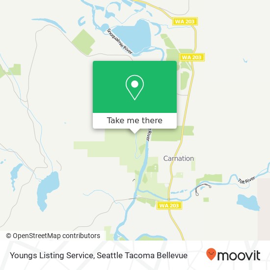 Youngs Listing Service map