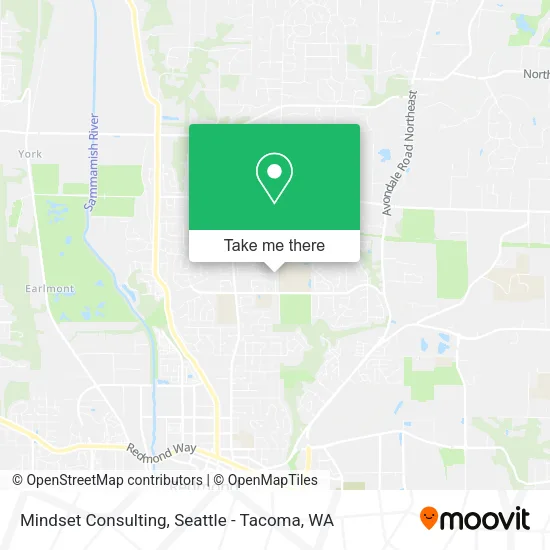 Mindset Consulting map