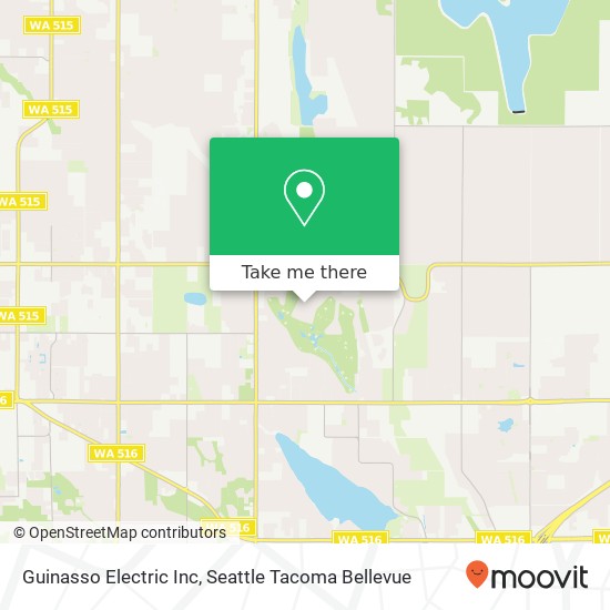 Guinasso Electric Inc map