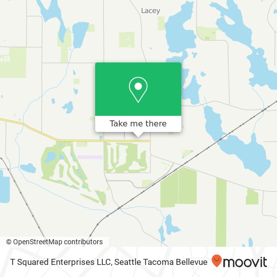 Mapa de T Squared Enterprises LLC