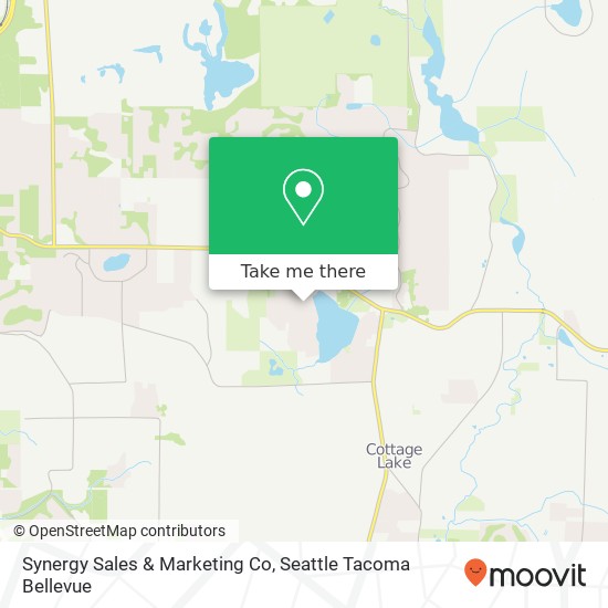 Synergy Sales & Marketing Co map