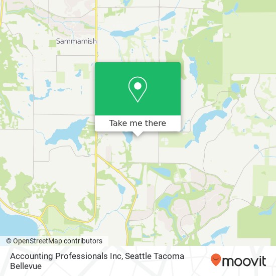 Accounting Professionals Inc map