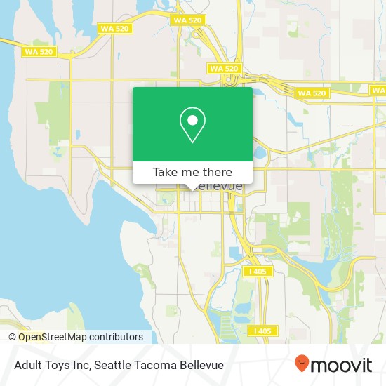 Adult Toys Inc map