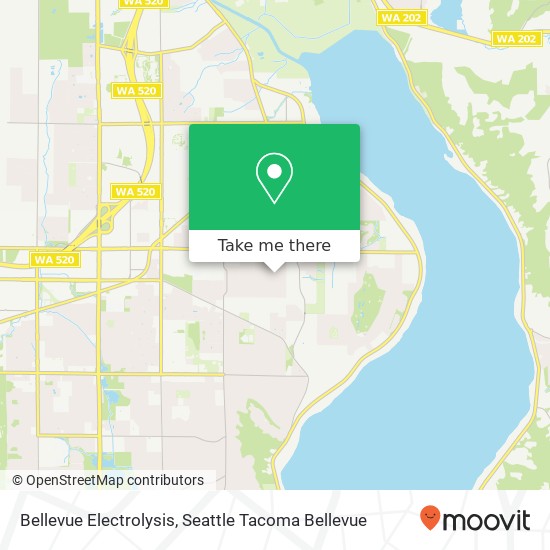Mapa de Bellevue Electrolysis