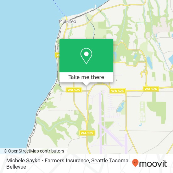 Mapa de Michele Sayko - Farmers Insurance