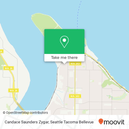 Candace Saunders Zygar map