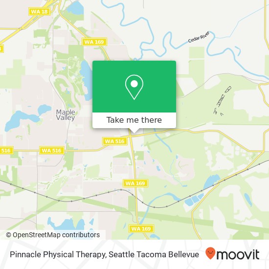 Mapa de Pinnacle Physical Therapy