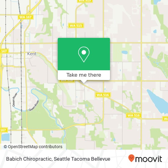 Babich Chiropractic map