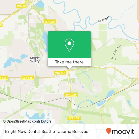 Bright Now Dental map
