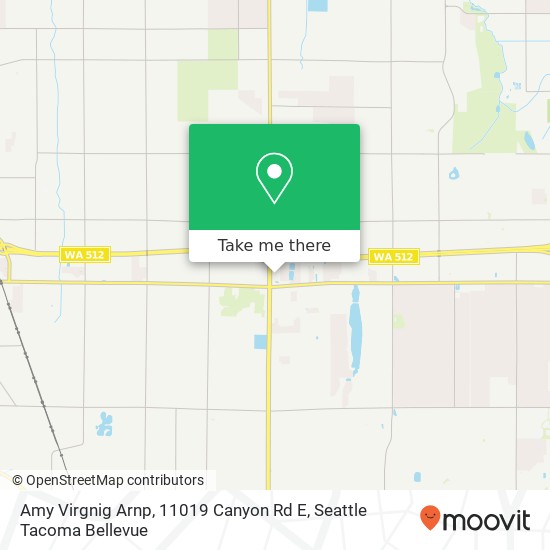 Mapa de Amy Virgnig Arnp, 11019 Canyon Rd E