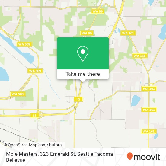 Mole Masters, 323 Emerald St map