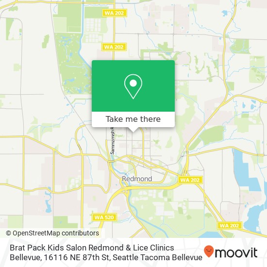 Brat Pack Kids Salon Redmond & Lice Clinics Bellevue, 16116 NE 87th St map