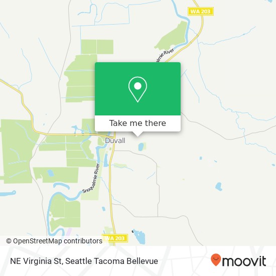 Mapa de NE Virginia St, Duvall, WA 98019