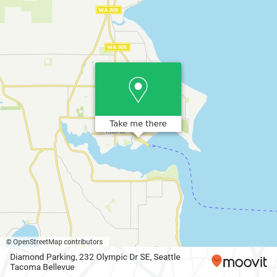 Mapa de Diamond Parking, 232 Olympic Dr SE