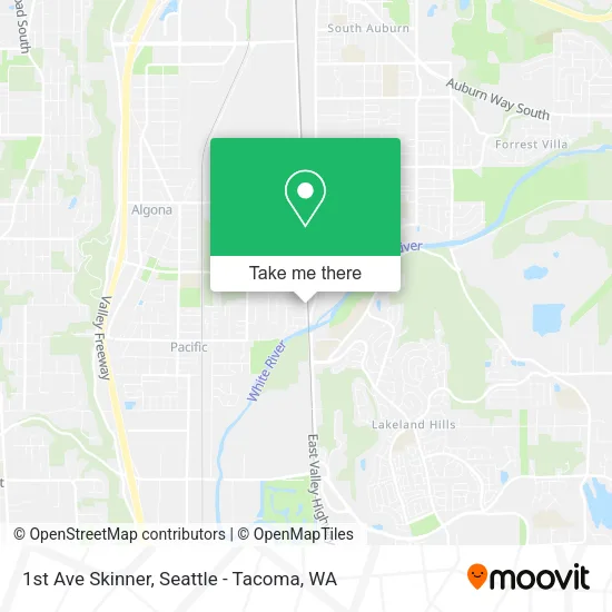 1st Ave Skinner map